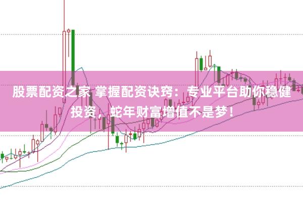 股票配资之家 掌握配资诀窍：专业平台助你稳健投资，蛇年财富增值不是梦！