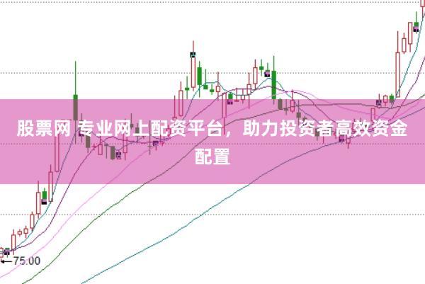 股票网 专业网上配资平台，助力投资者高效资金配置