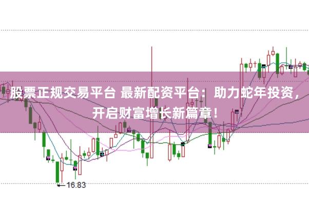 股票正规交易平台 最新配资平台：助力蛇年投资，开启财富增长新篇章！