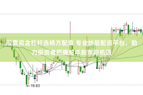 股票资金杠杆选杨方配资 专业炒股配资平台，助力投资者把握蛇年股市新机遇