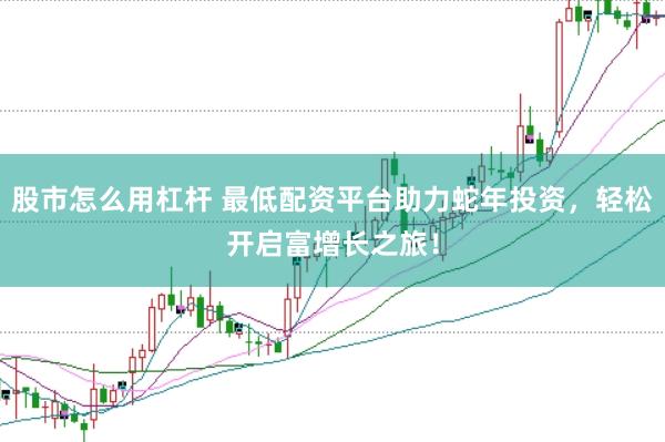 股市怎么用杠杆 最低配资平台助力蛇年投资，轻松开启富增长之旅！