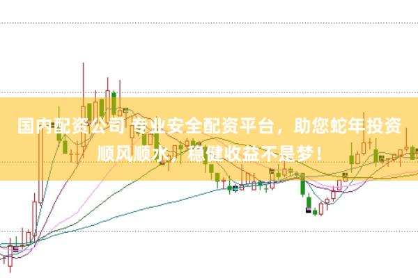 国内配资公司 专业安全配资平台，助您蛇年投资顺风顺水，稳健收益不是梦！
