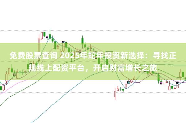 免费股票查询 2025年蛇年投资新选择：寻找正规线上配资平台，开启财富增长之旅