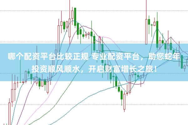 哪个配资平台比较正规 专业配资平台，助您蛇年投资顺风顺水，开启财富增长之旅！