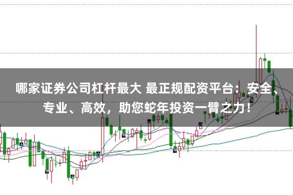 哪家证券公司杠杆最大 最正规配资平台：安全、专业、高效，助您蛇年投资一臂之力！