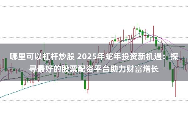 哪里可以杠杆炒股 2025年蛇年投资新机遇：探寻最好的股票配资平台助力财富增长