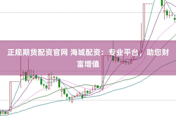 正规期货配资官网 海城配资：专业平台，助您财富增值