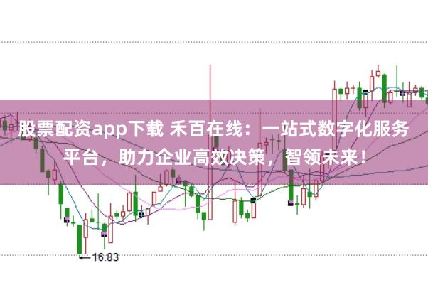 股票配资app下载 禾百在线：一站式数字化服务平台，助力企业高效决策，智领未来！