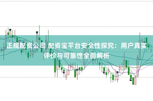 正规配资公司 配资宝平台安全性探究：用户真实评价与可靠性全面解析
