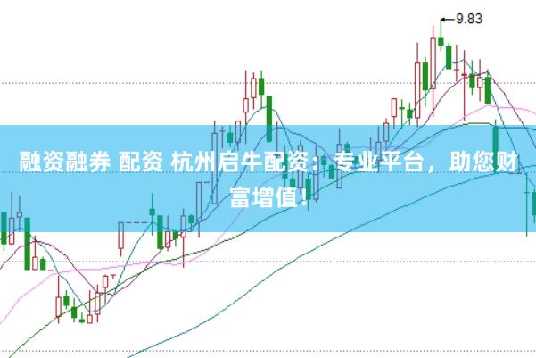 融资融券 配资 杭州启牛配资：专业平台，助您财富增值！