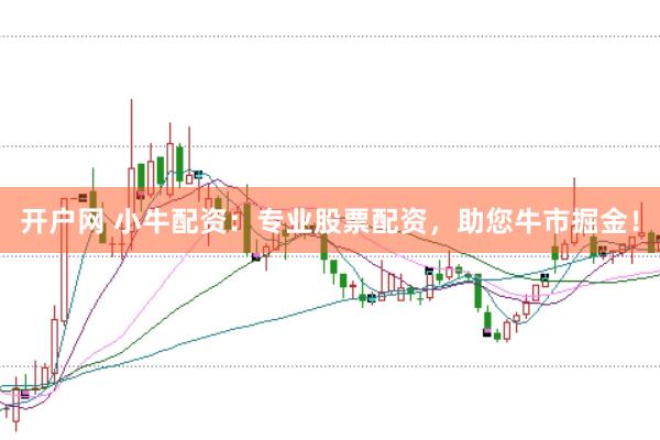 开户网 小牛配资：专业股票配资，助您牛市掘金！