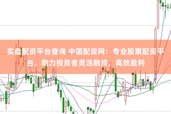 实盘配资平台查询 中国配资网：专业股票配资平台，助力投资者灵活融资，高效盈利