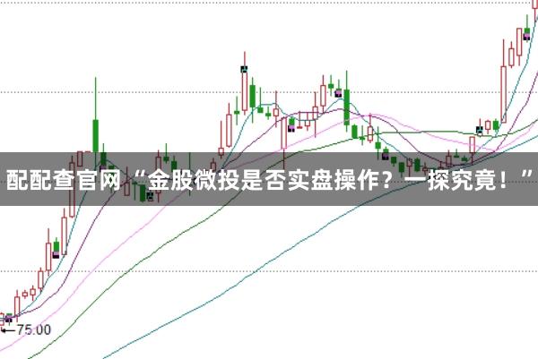 配配查官网 “金股微投是否实盘操作？一探究竟！”