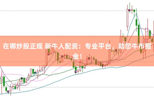 在哪炒股正规 新牛人配资：专业平台，助您牛市掘金！