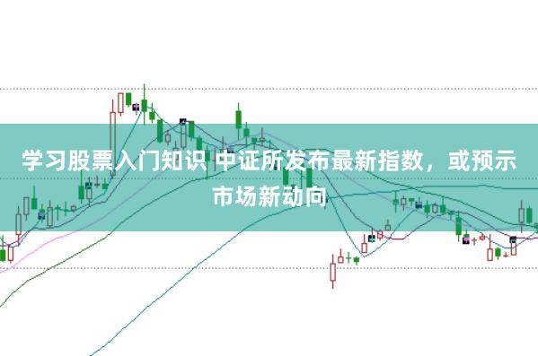 学习股票入门知识 中证所发布最新指数，或预示市场新动向