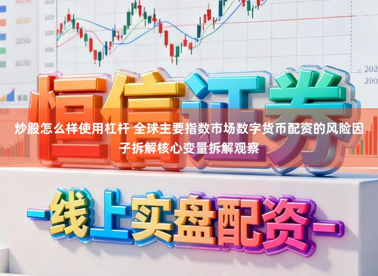 炒股怎么样使用杠杆 全球主要指数市场数字货币配资的风险因子拆解核心变量拆解观察