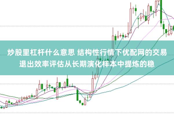 炒股里杠杆什么意思 结构性行情下优配网的交易退出效率评估从长期演化样本中提炼的稳